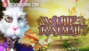 Tree of joker128Fortune วิธีเล่นshangri la slot